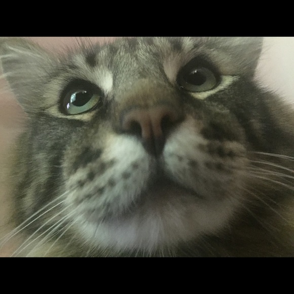 Meet your Posher, Rubi - Picture 1 of 1